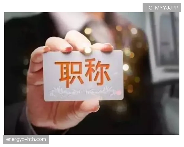 梅赫伦逼抢体系 梅赫伦逼抢体系